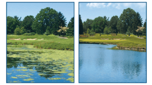 Before and after side-by-side image of pond with problem algae that is removed with ultra-sonic algae control