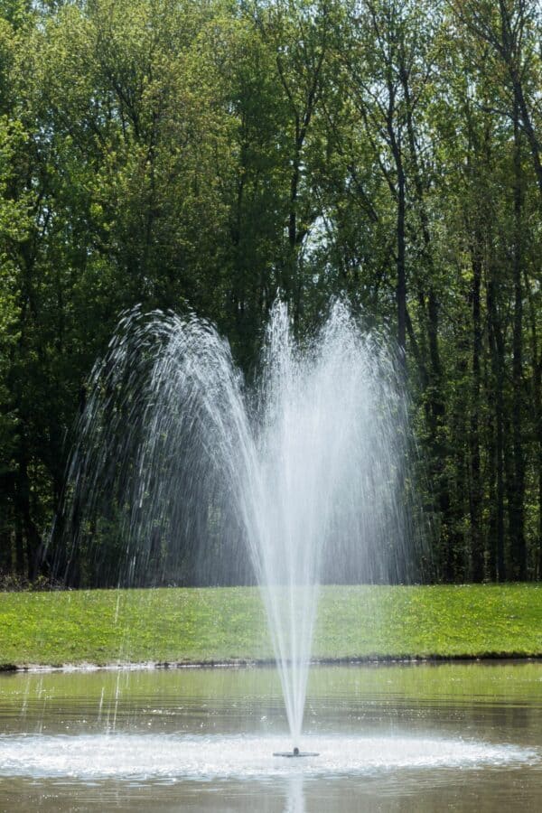 Arch style fountain spray pattern