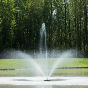 Trumpet Geyser Fountain pattern in pond