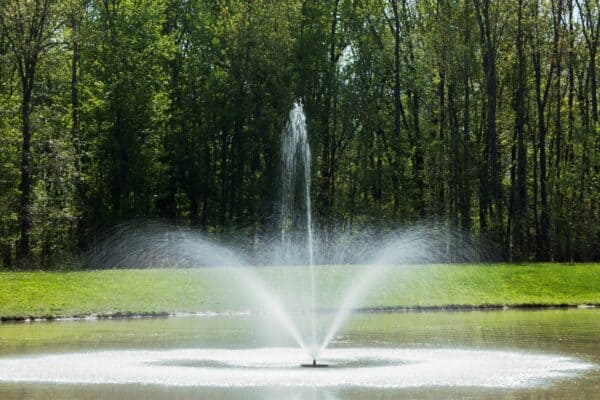 Trumpet Geyser Fountain pattern in pond